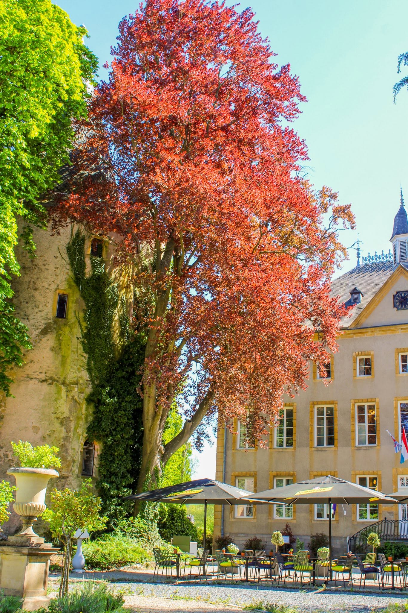 Château de Schengen 3